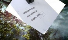 今日看料,揭秘最新资讯背后的故事